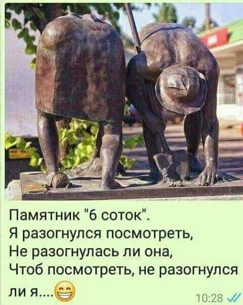 Памятник 6 соток Я разогнулся посмотреть Не разогнулась ли она Чтоб посмотреть не разогнулся ЛИ Я