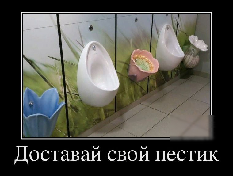 А _ _ _а Доставай свой пестик