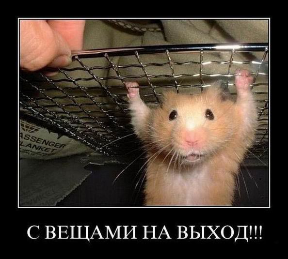 С ВЕЩАМИ НА ВЫХОД