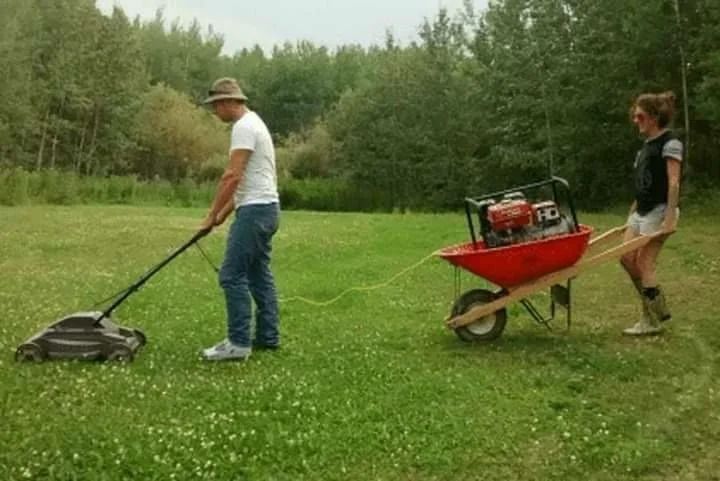 д