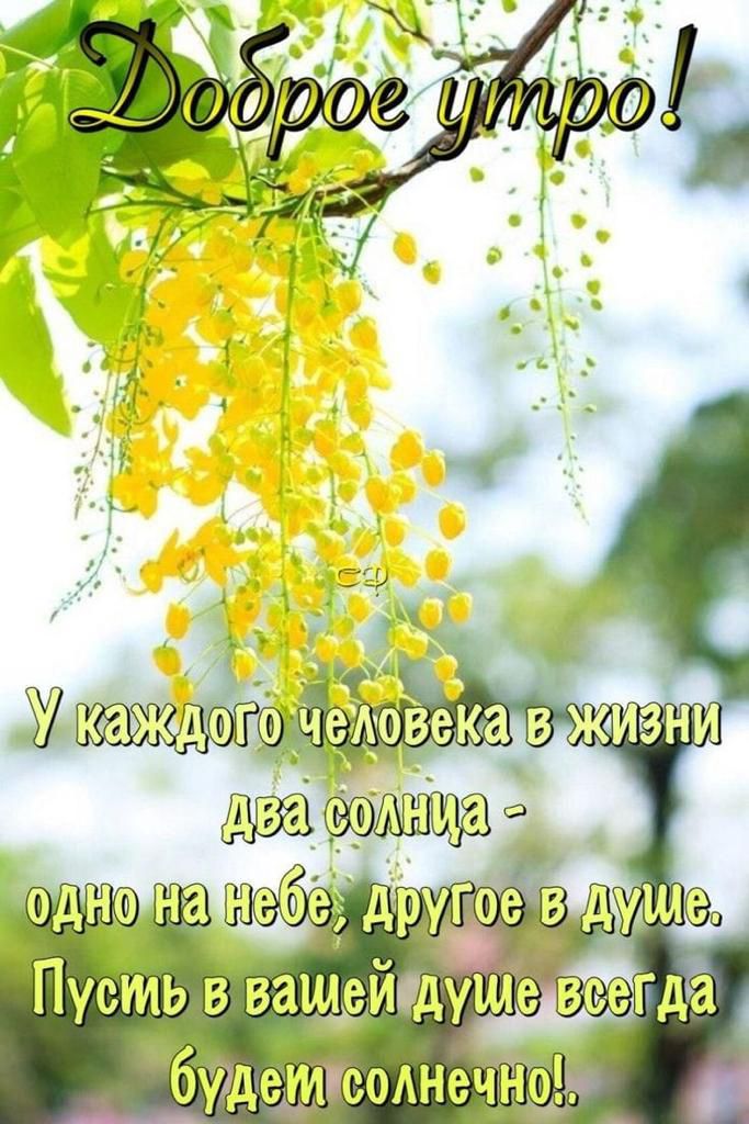 в авй уи евсег будлнечн