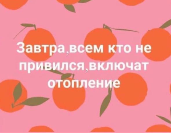 Завтравсем кто не пр сявключат О 187