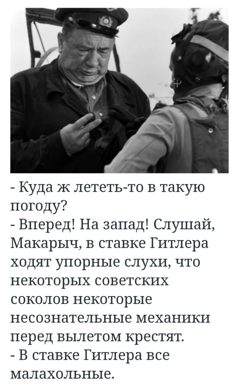 Куда ж лететь то в такую погоду Вперед На запад Слушай Макарыч в ставке Гитлера ходят упорные слухи что некоторых советских соколов некоторые несознательные механики перед вылетом крестят В ставке Гитлера все малахольные