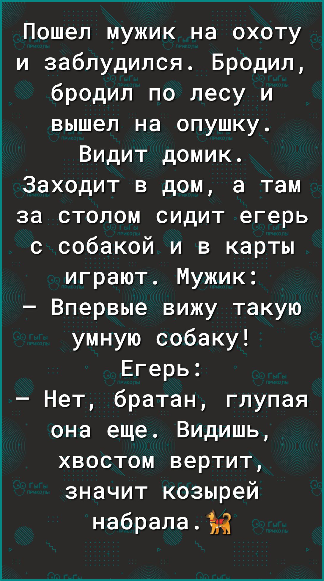 Пошел мужик на охоту и заблудился Бродил бродил по лесу и вышел на опушку  Видит домик Заходит в дом а там за столом сидит егерь с собакой и в карты  играют Мужик