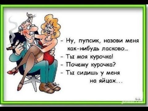 7 Ну пупсик назови меня кпк нибудь ласково Ты моя курочка Почему курочка Ты сидишь у меня иа яйцах