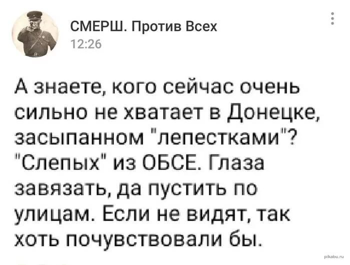 СМЕРШ Против Всех из 25 А знаете кого сейчас очень сильно не хватает в Донецке засыпанном лепестками Слепых из ОБСЕ Глаза завязать да пустить по улицам Если не видят так хоть почувствовали бы