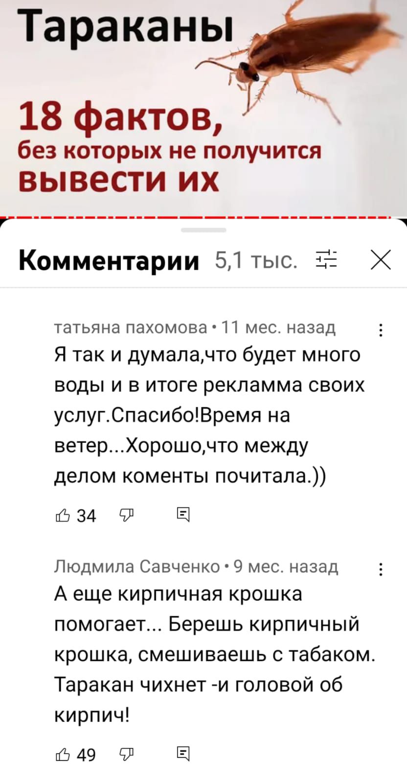 Тараканы 18 фактов без которых не получится ВЫВЭСТИ ИХ Р_____ Комментарии 51тыс ЗД Х татьяна пахомова 11 мес назад Я так и думапанто будет много воды и в итоге рекламма своих успугСпасибоВремя на ветерХорошочто между делом коменты почитала 534 91 Ёі Людмила Савченко 9 мес назад А еще кирпичная крошка помогает Берешь кирпичный крошка смешиваешь с табаком Таракан чихнет и головой об кирпич 49 Ё