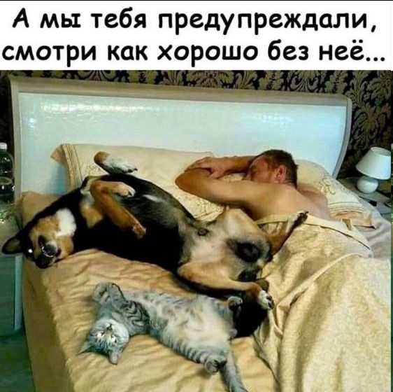 А мы тебя предупреждали смотри как хорошо без неё