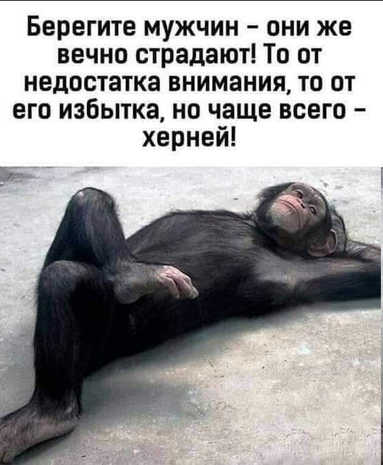 Берегите мужчин они же вечно страдают То от недостатка внимания то от его избытка но чаще всего херней