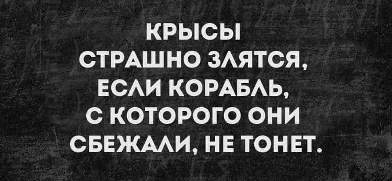 КРЫСЫ СТРАШНО ЗАЯТСЯ ЕСАИ КОРАБАЬ С КОТОРОГО ОНИ СБЕЖААИ НЕ ТОНЕТ