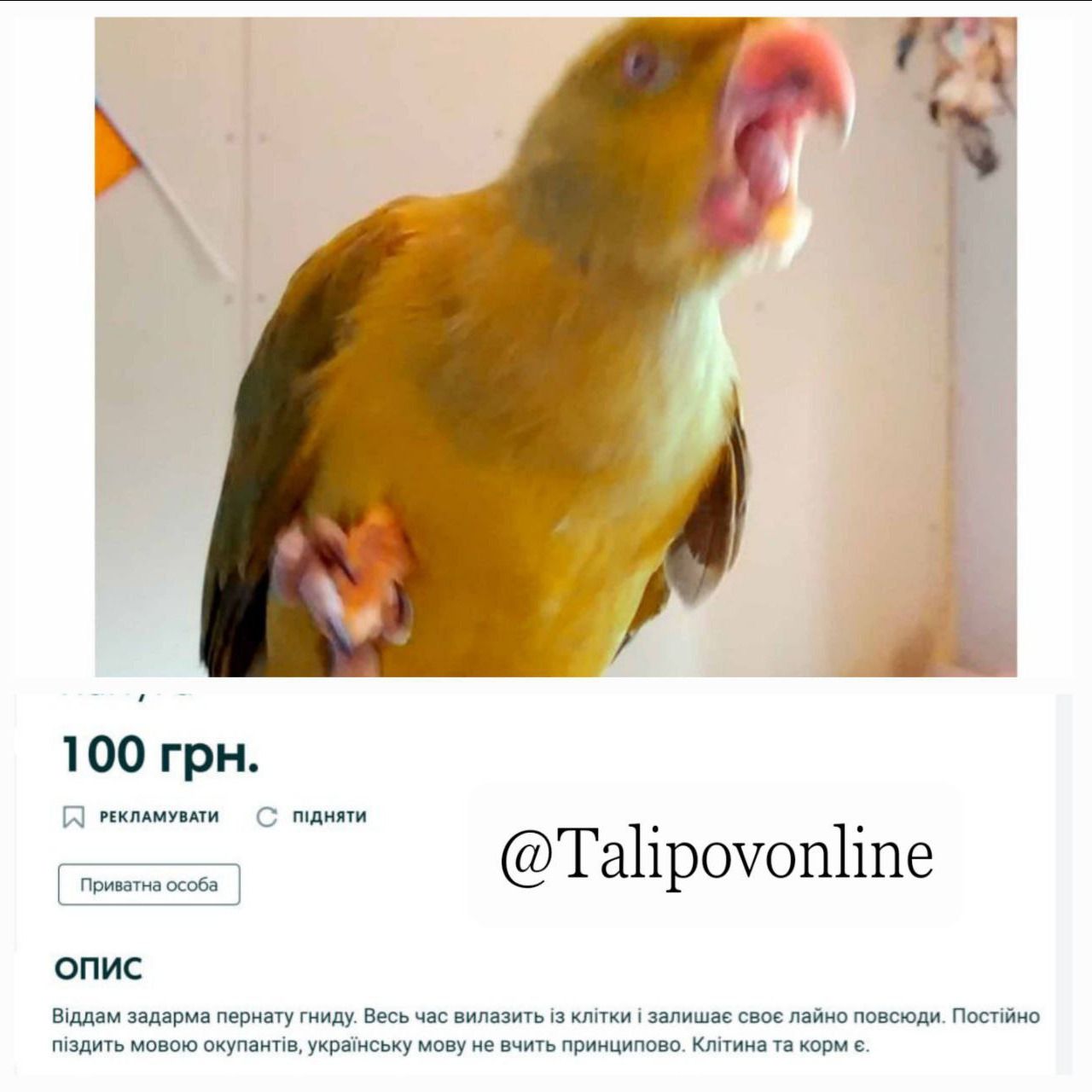 100 грн ТаНроюпНпе опис