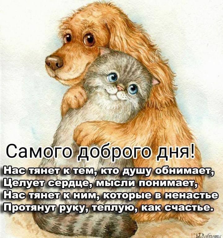 щуп 4 Протяни руку теплую