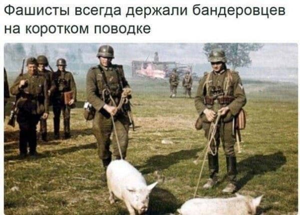 Фашисты всегда держали бандеровцев на коротком поводке