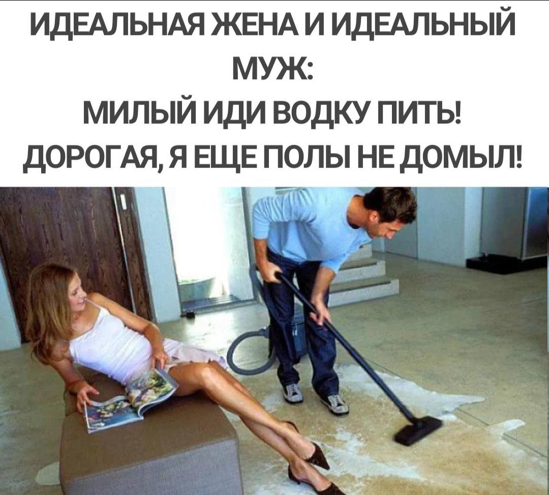 ИДЕАЛЬНАЯ ЖЕНА и ИДЕАЛЬНЫЙ МУЖ милый иди водку питы дОРОГАЯ я ЕЩЕ полы НЕ дОМЫЛ