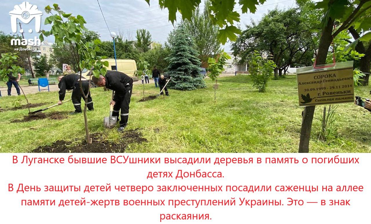 в у в и де з днях Данбасы Эмшы р в