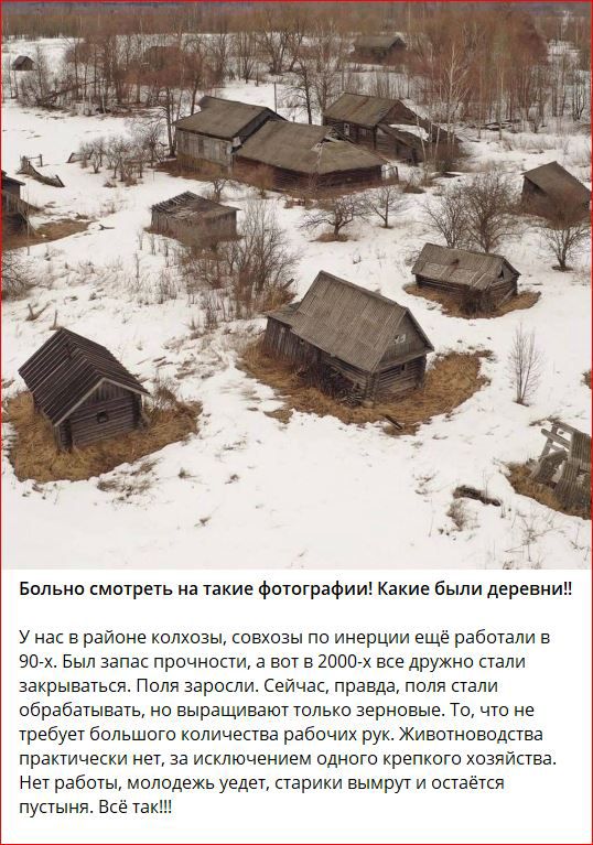 Больно смотреть а такие фотографии Какие были дарами у на в районе колхозы овхозы пп инерции ещё рабочем а ЗОтх Бып запас прочности а нет в 20001 все дружно пали закрывауькя поля зароши Сейчас правда полн пали обрабатывать на выращивают толькв зерновые То что не требует большого копичепва рабочих рук Животноводпва практически нет за исключением одного крепкого хозяинва Нет работы молодежь уедет па