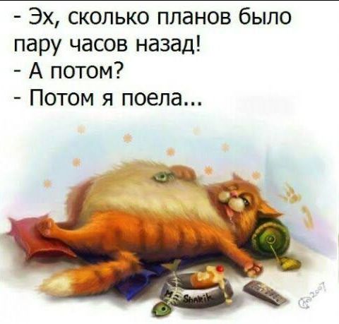 Эх сколько планов было пару часов назад А потом Потом я поела