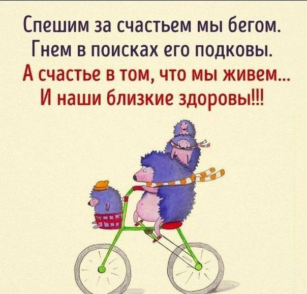 Спешим за счастьем мы бегом Гнем в поисках его подковы А счастье в том что мы живем И наши близкие здоровы