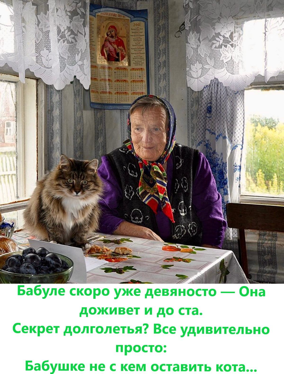 Бабуле скоро уже девяносто Она доживы и до ста Секрет долголетья Все удивительно просто Баб шке не с кем оставить кота