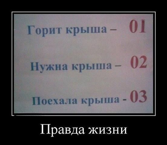 Правда жизни