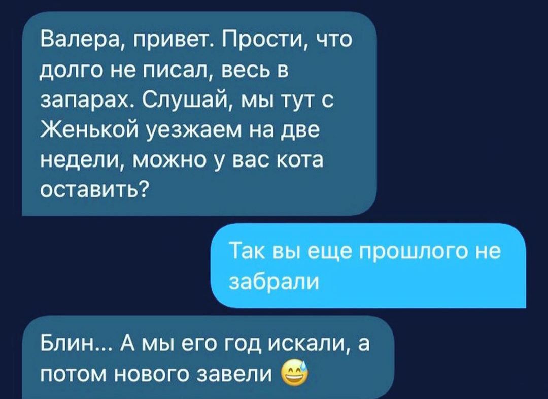 Валера привет Прости что долго не писал весь в запарах Слушай мы тут Женькой уезжаем на две недели можно у вас кота оставить Блин А мы его год искали а потом нового завели