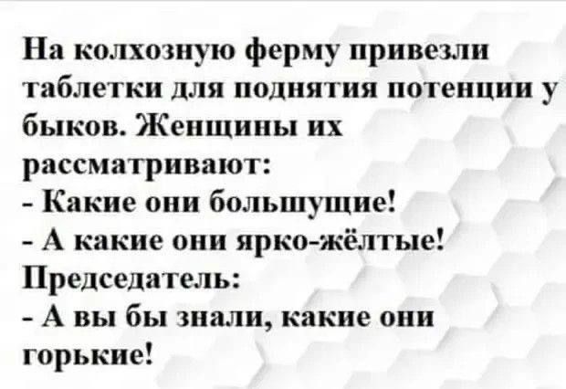 На колхошую ферму привезли таблетки для поднятия потенции у быков Женщины их рассматривают Какие они большущие А какие они яркожелтые Председатель А вы бы знали какие они горькие
