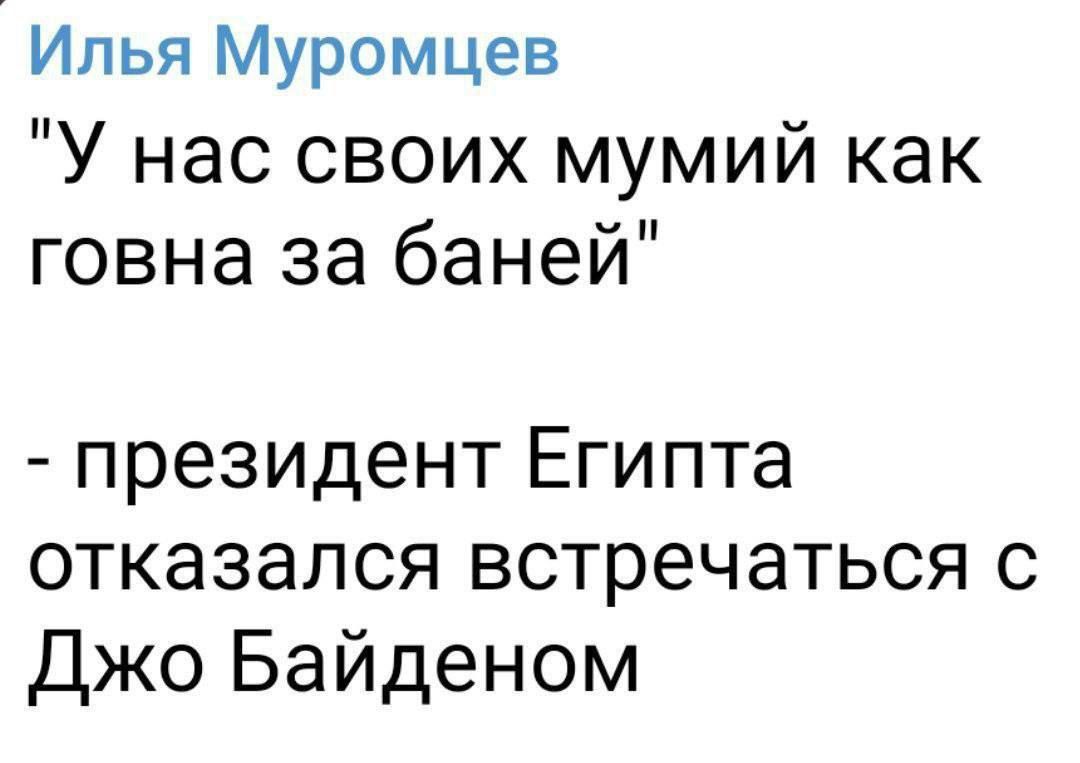 Илья Муромцев У нас своих мумий как говна за баней президент Египта отказался встречаться с Джо Байденом