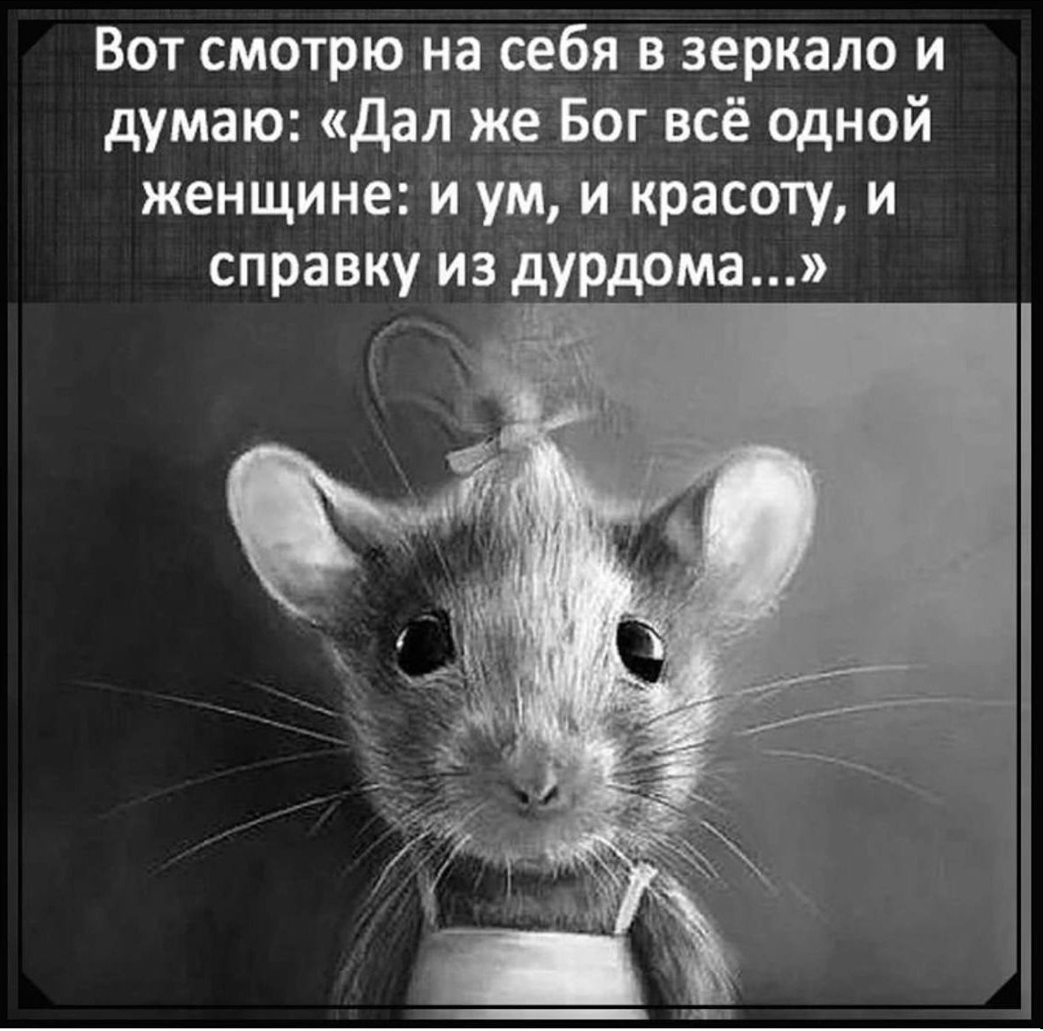 Вот смотрю на себя в зеркало и думаю дал же Вы всё одной женщине и ум и красоту и справку из дурдома