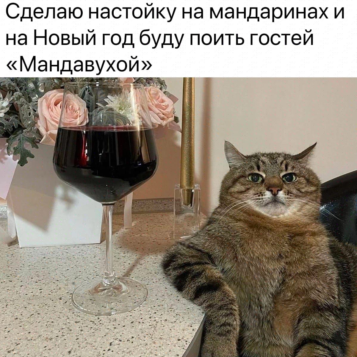 Сделаю настойку на мандаринах и на Новый год буду поить гостей Мандавухой