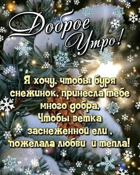 НеЖШЮК принесла ПЖ