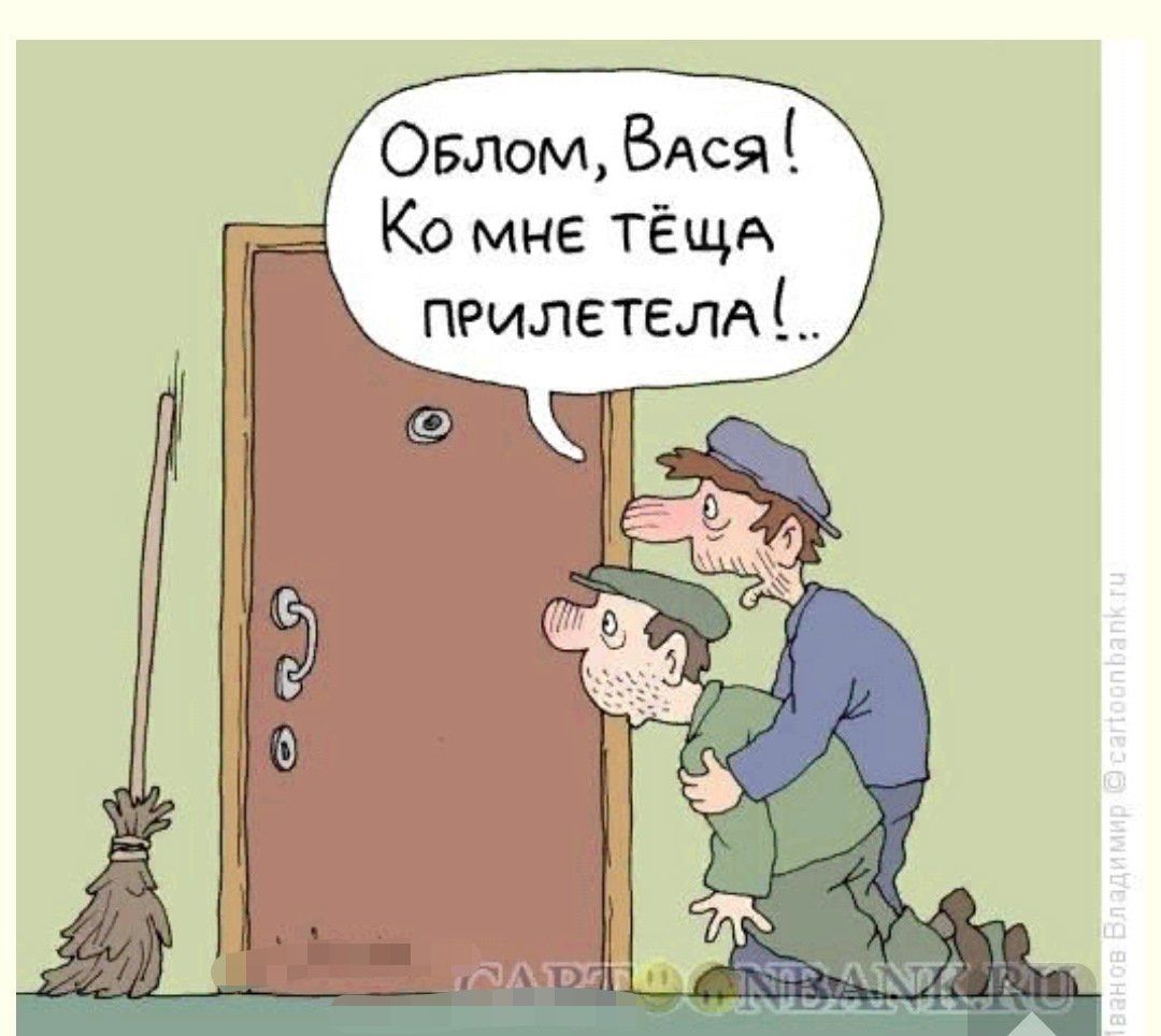 Овпом ВАсЯ Ко мне тёща прилетелд