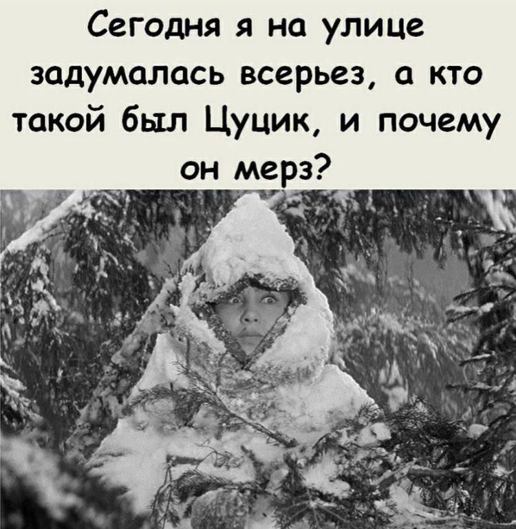 Сегодня я на улице задумалась всерьез кто такой был Цуцик и почему