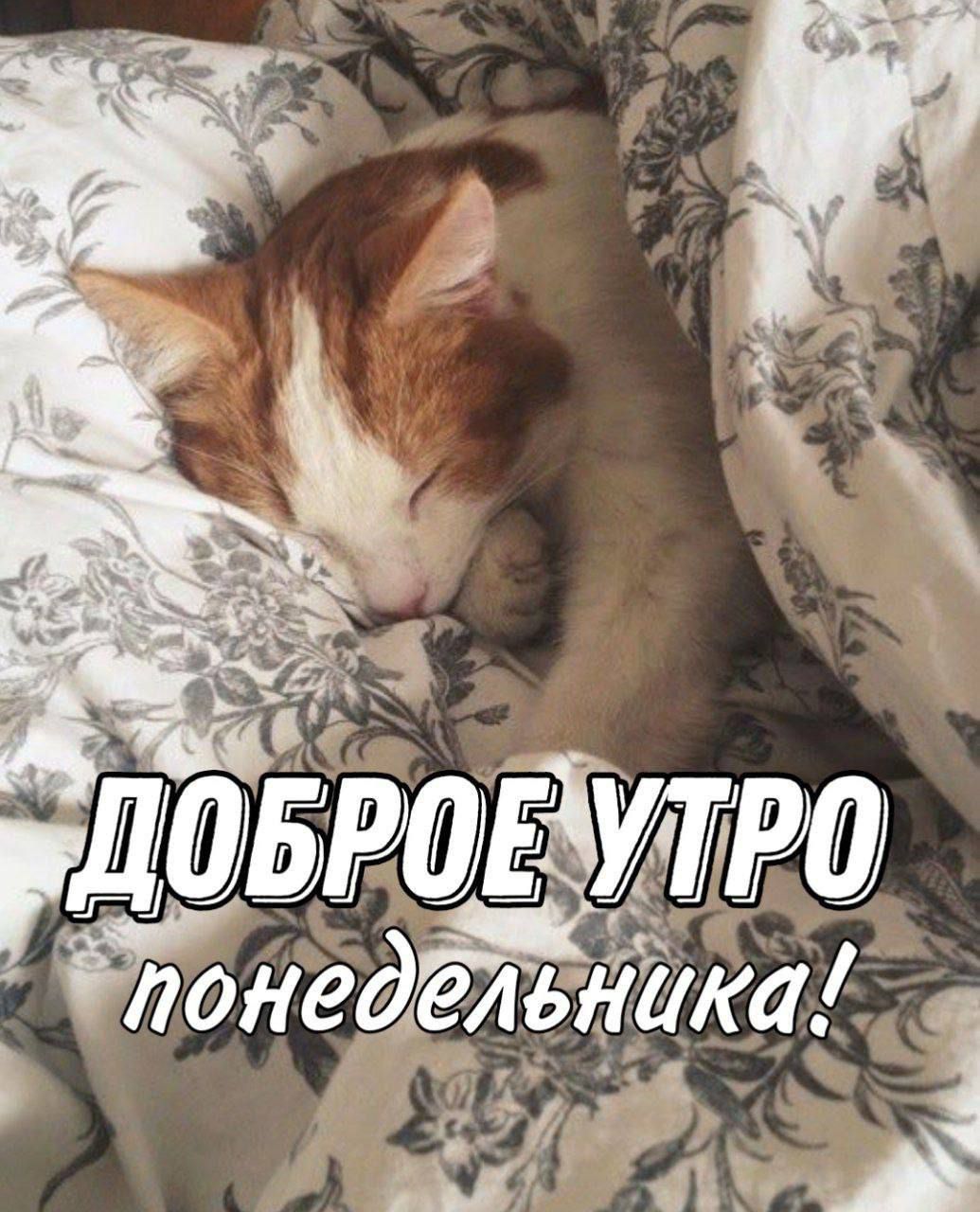 5 едё4ёді фт А А с д