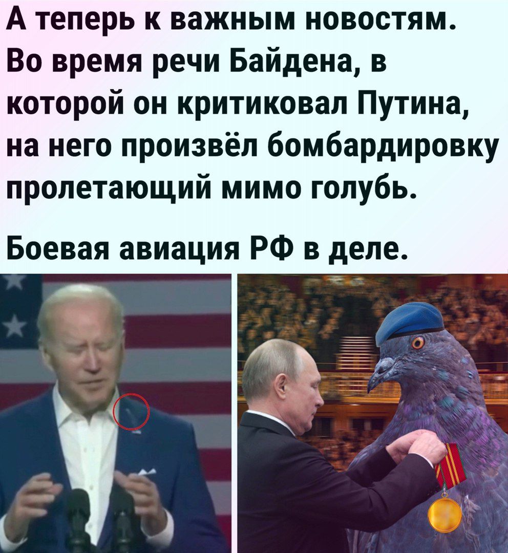 А теперь к важным новостям Во время речи Байдена в которой он критиковал Путина на него произвёл бомбардировку пропетающий мимо голубь Боевая авиация РФ в деле