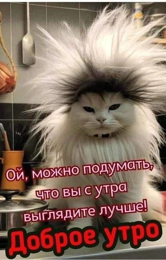 М _Дчтю вы С УТРО ВЪпгЛЯДИТЁ ЛУЧ