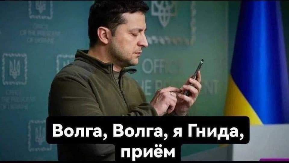 5 Волга Волга я Гнида приём