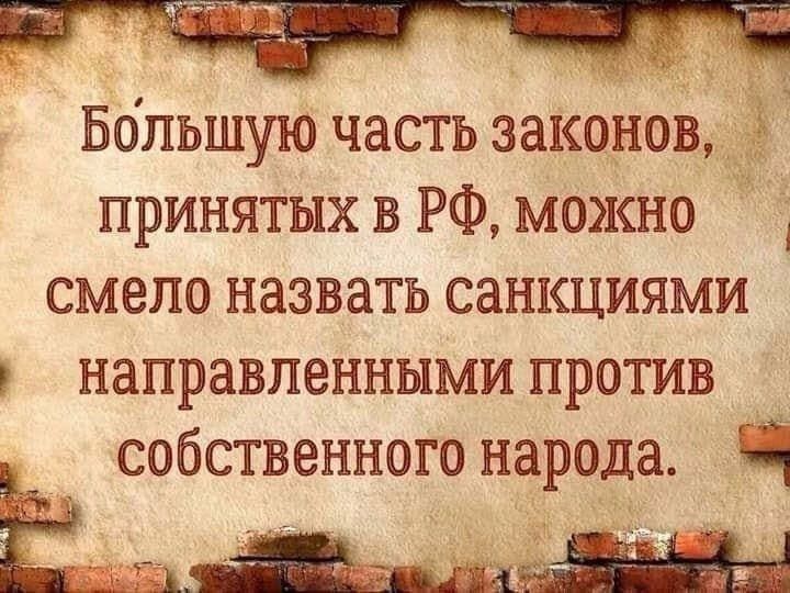 Большую часть законов принятыхв РФ можно смело назвать санкциями направленными против собственного народа