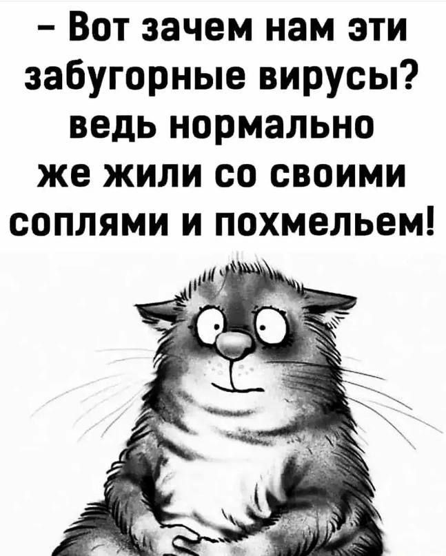 Вот зачем нам эти забугорные вирусы ведь нормально же жили со своими соплями и похмельем