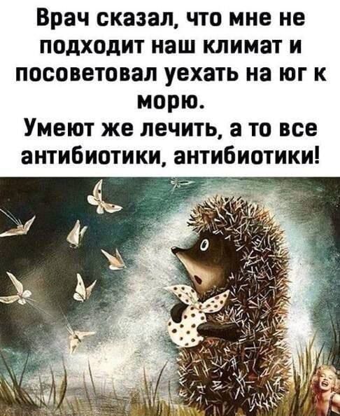 Врач сказал что мне не подходит наш климат и посоветовал уехать на юг к морю Умеют же лечить а то все антибиотики антибиотики