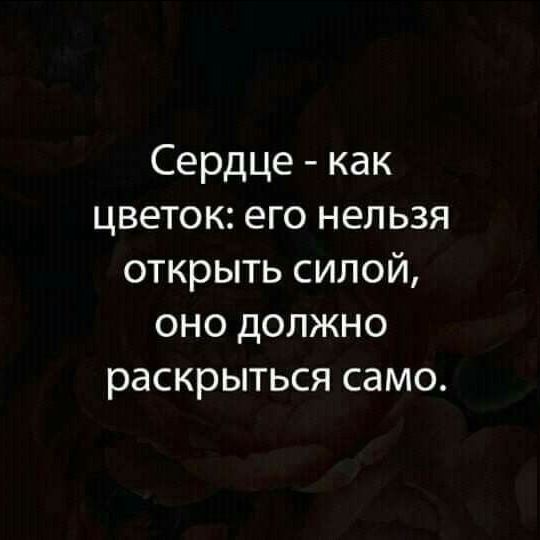 Сердце как цветок его неп ьзя открыть силой оно должно раскрыться само