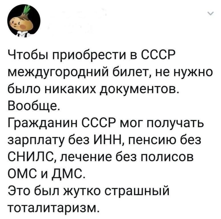 Чтобы приобрести в СССР междугородний билет не нужно было никаких документов Вообще Гражданин СССР мог получать зарплату без ИНН пенсию без СНИЛС лечение без полисов ОМС и ДМС Это был жутко страшный тоталитаризм