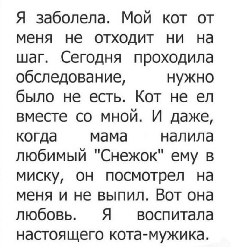 Я заболела Мой кот от меня не отходит ни на шаг Сегодня проходила обследование нужно было не есть Кот не ел вместе со мной И даже когда мама налила любимый Снежок ему в миску он посмотрел на меня и не выпил Вот она любовь Я воспитала настоящего кота мужика