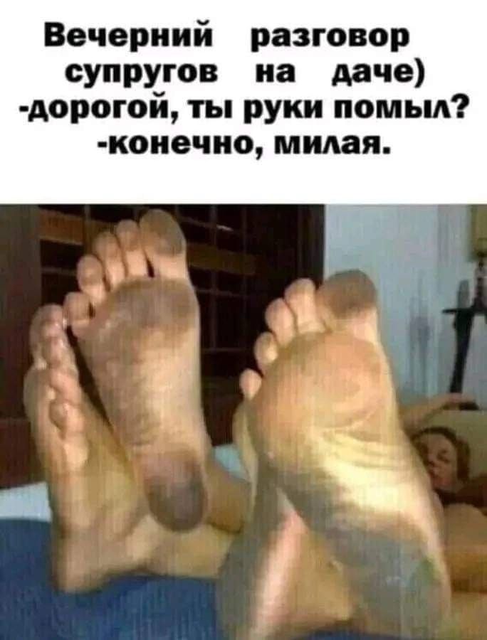 Вечерний разговор супругов на даче дорогой ты руки помыл коиочио милая