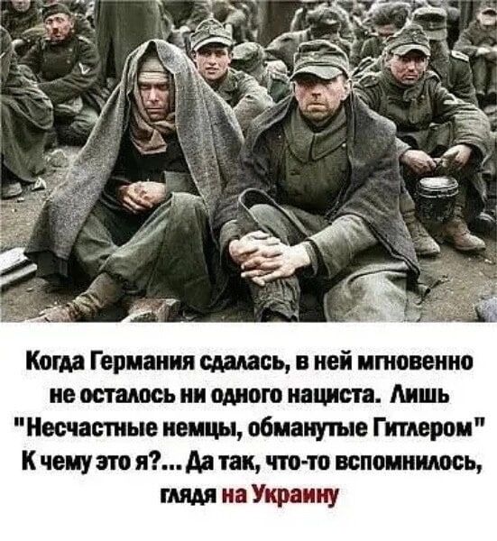 Коти Германия сдалась пей ипювеиио не остались ии шит пицце п Лишь Несчастные немцы обманутые Гитлером к чему т я А так чтото вспомнить мм на Украину