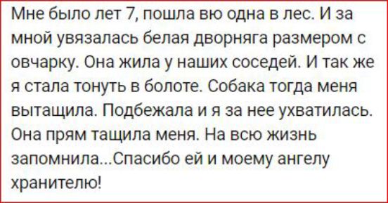 Мне было лет 7 пошла вю одна в лес И за мной увязалась белая дворняга размером с овчарку Она жила у наших соседей И так же я стала тонуть в болоте Собака тогда меня вытащила Подбежапа и я за нее ухватилась Она прям тащила меня На всю жизнь запомнилаСпасибо ей и моему ангелу хран ителю