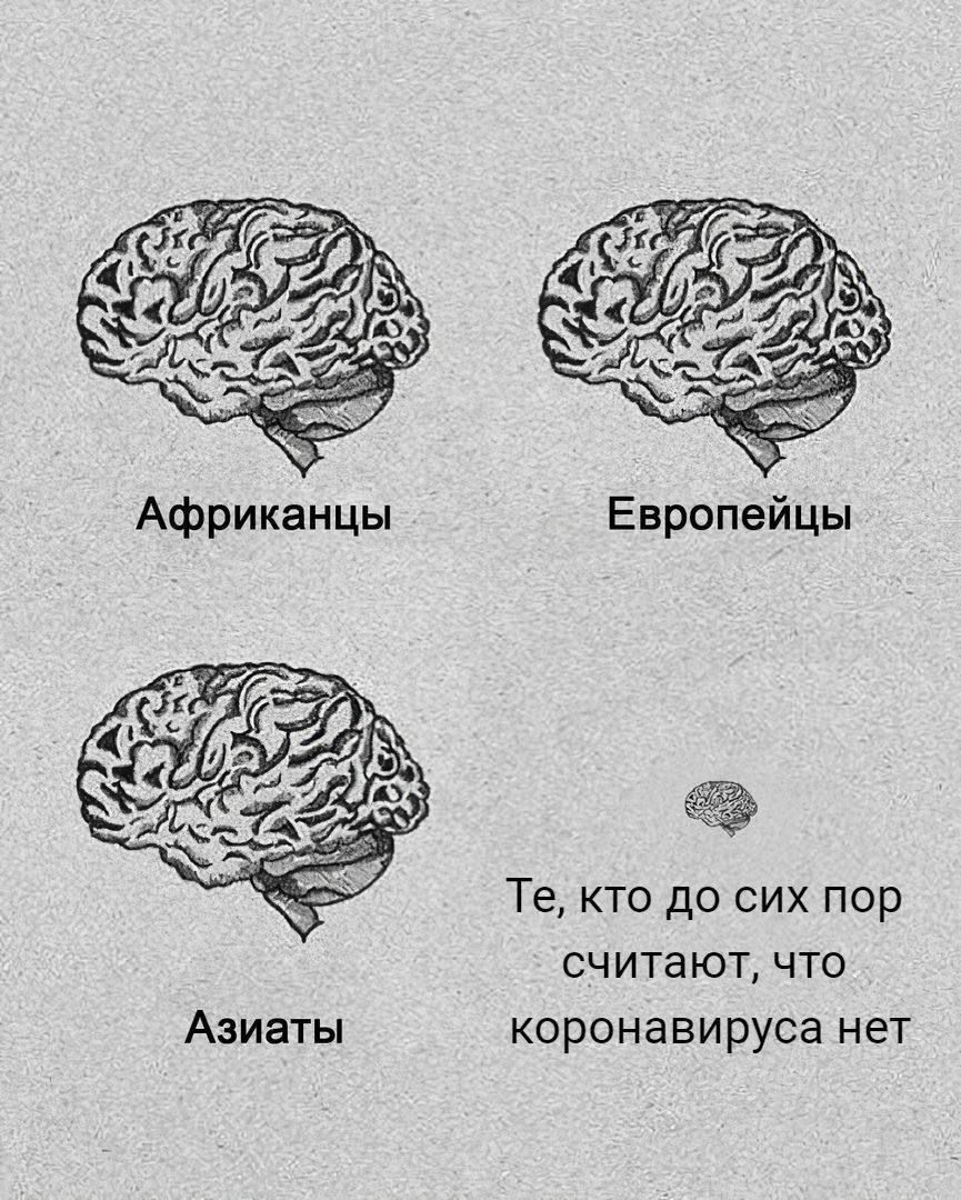 Европейцы С Те кто до сих пор считают что Азиаты коронавируса нет