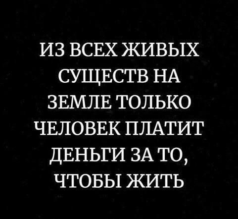 ИЗ ВСЕХ ЖИВЫХ СУЩЕСТВ НА ЗЕМЛЕ ТОЛЬКО ЧЕЛОВЕК ПЛАТИТ ДЕНЬГИ ЗА ТО ЧТОБЫ ЖИТЬ