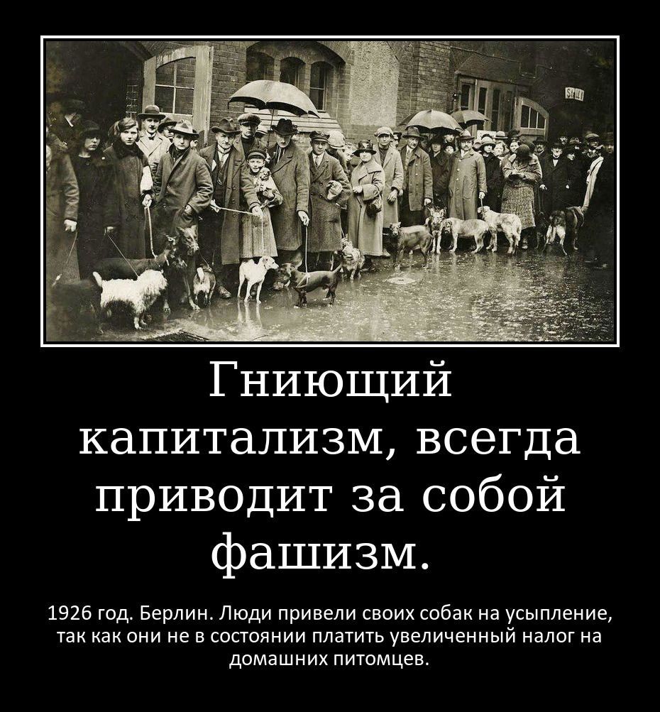 Гниющий капитализм всегда приводит за собой фашизм 1926 год Берлин Люди привели своих собак на усыпление так как они не в состоянии платить увеличенный налог на домашних питомцев