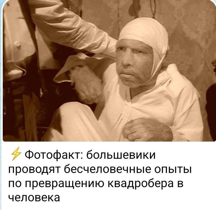 Фотофакт большевики проводят бесчеловечные опыты по превращению квадробера в человека