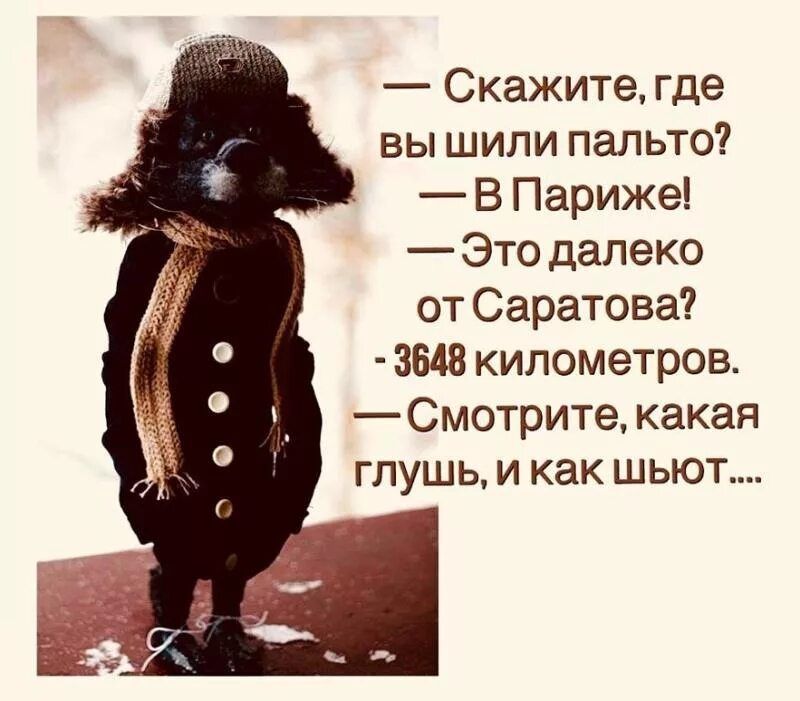 Скажитегде вы шили пальто В Париже Это далеко от Саратова 3648 километров Смотрите какая глушь и как шьют